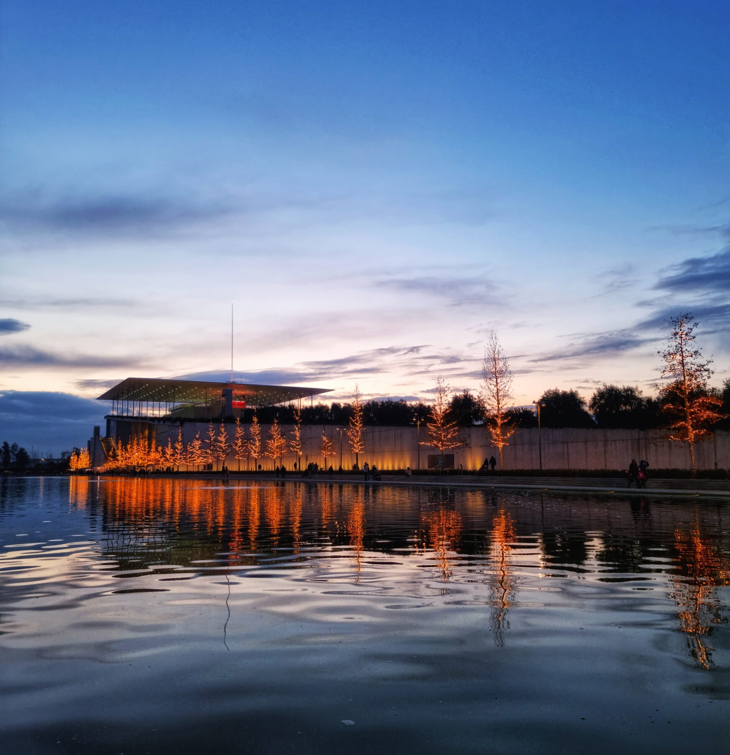 snfcc